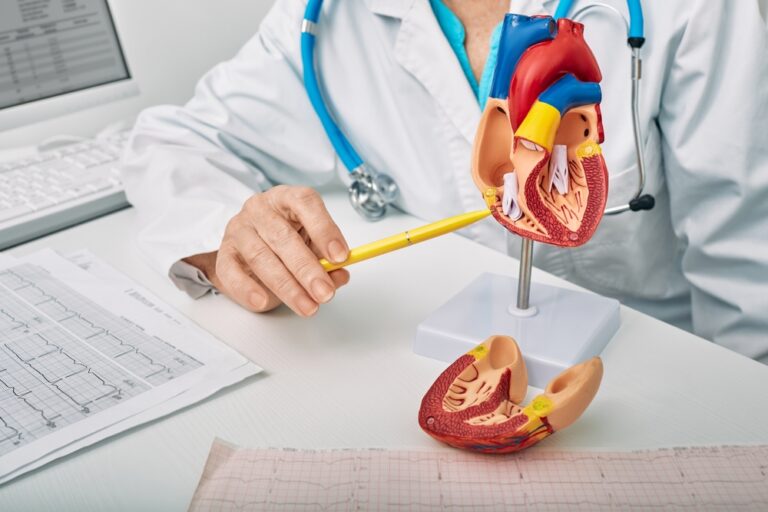 cardiologist pointing to a heart diagram during a consultation